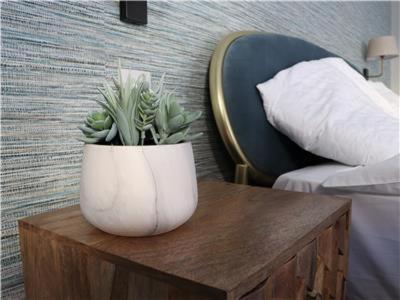 Chapel Lodge - Roof Top Garden!Perfect For Your Family Bath Exteriér fotografie